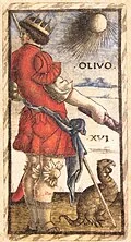 Olivo XVI in Sola Busca